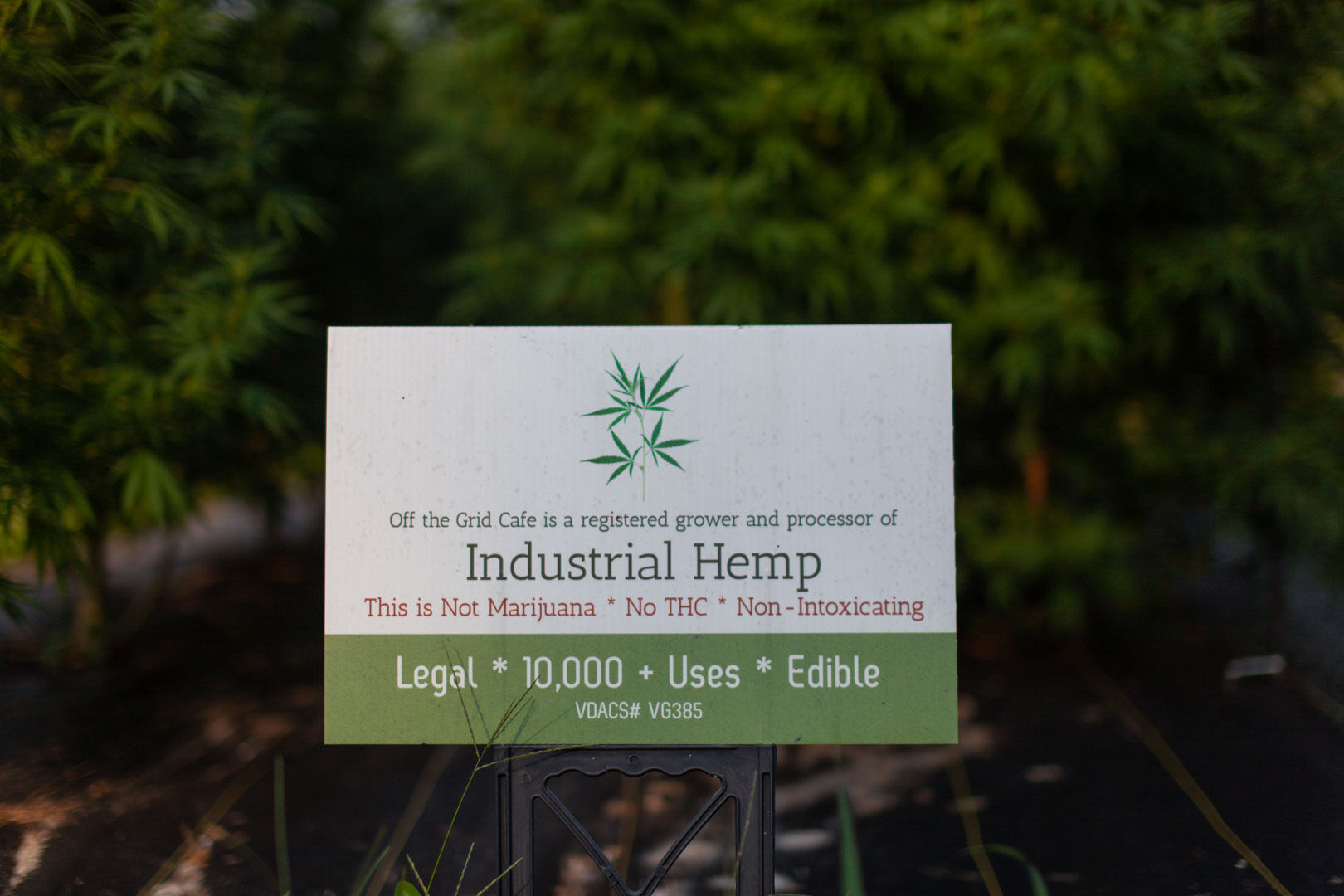 Farm-Tour-2021-Off_the_Grid-137-web.jpg